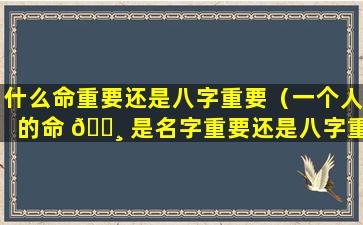 什么命重要还是八字重要（一个人的命 🌸 是名字重要还是八字重要 🌼 ）
